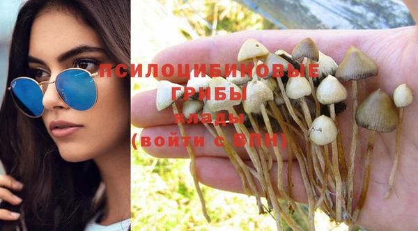 спайс Абинск