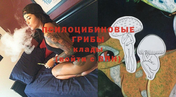 мяу мяу мука Абдулино
